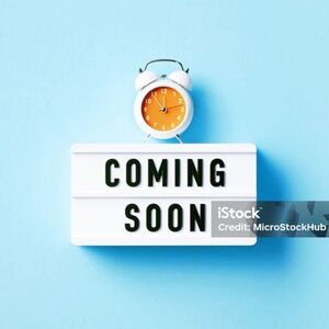 Chloe Cognac Leather Pointed Toe Flats 38.5